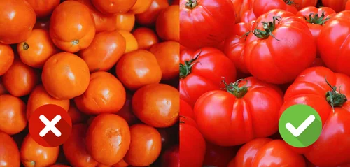 Jak wybrać smacznego pomidora? 5 cennych wskazówek