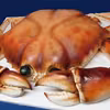 Torcik krab