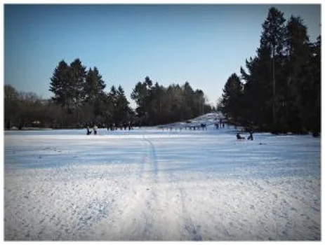 Park Grabiszyński we Wrocławiu