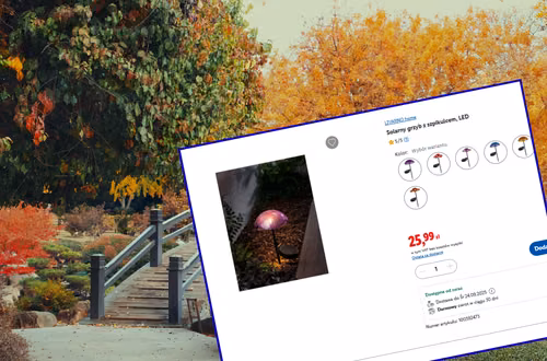 Te urocze solarne lampki z Lidla będą hitem jesieni! Tylko 26 zł, bez kabli i rachunków,  a efekt jak z zaczarowanego ogrodu