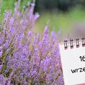 Kartka z kalendarza: 16 września - imieniny, gwiazdy, nietypowe święta! Odkryj sekrety tego dnia!