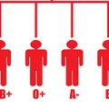 5 rzeczy, które musisz wiedzieć o swojej grupie krwi!