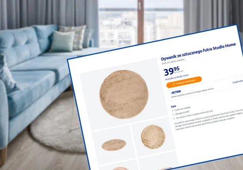 Ten dywan z Action za 39,95 zł odmieni każdy nudny salon! Puchata struktura z efektem wow i łatwe czyszczenie