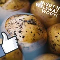 Już NIGDY nie wylejesz wody po ziemniakach. Sprawdź dlaczego!