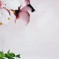 Ogony wieprzowe duszone z cebulką