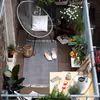 Zielony balkon