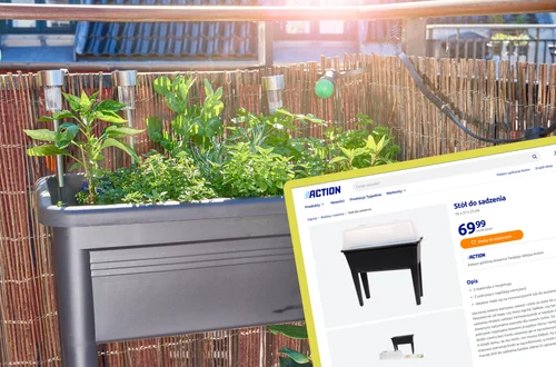 TikTok oszalał na punkcie tego mini warzywniaka na balkon! Ten stół z pokrywą za 69,99zł  to hit sezonu w Action