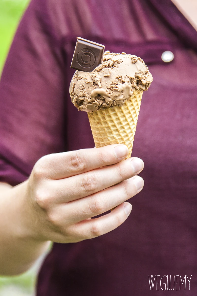 2-SKŁADNIKOWE LODY CZEKOLADOWE