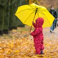 Oprócz 800 plus DODATKOWE 1500 zł dla pracujących rodziców! ZUS przypomina zasady