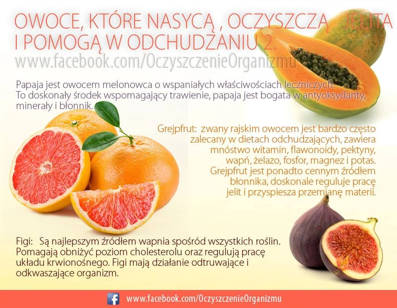 Cała prawda o owcach