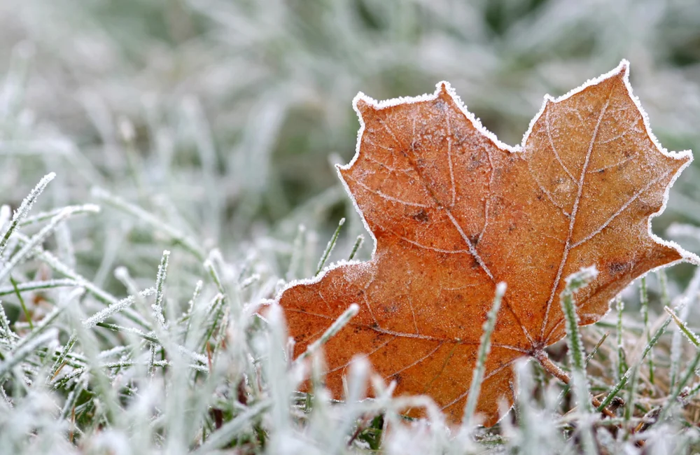 Zima wraca do Polski? Znamy datę nagłego ochłodzenia!