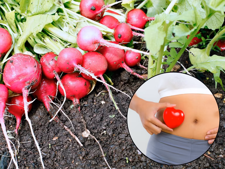 Tego nie wiedziałeś o rzodkiewce! Pomaga w tej dolegliwości, a większość ludzi ją ignoruje