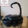 Tort Skorpion