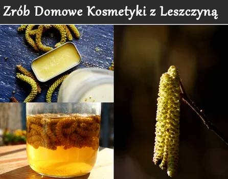 Kosmetyki prosto z lasu czyli pyłek leszczynowy na problemy skórne i opuchnięte oczy