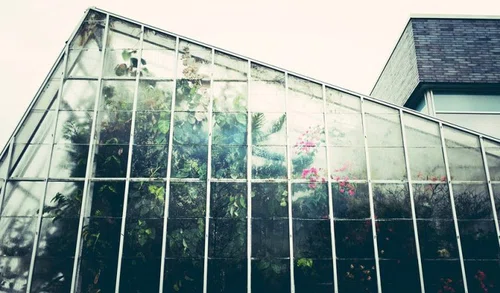 Szklarnia, jakie oświetlenie dobrać?