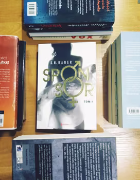 Recenzja – „Sponsor” TOM 1 K.N. Haner