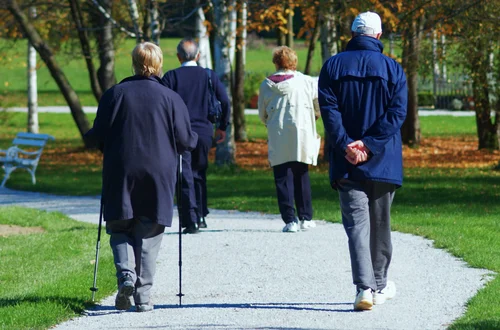 Duże zmiany w popularnym programie dla seniorów! Na 2026 zaplanowano wyższe dofinansowanie