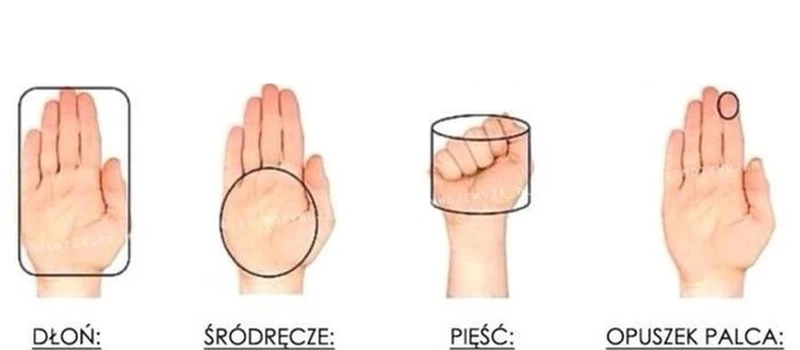 Jak w prosty sposób odmierzyć PROPORCJE POSIŁKU?