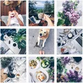 INSTAGRAM - MIGAWKI
