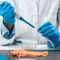 Salmonella w polędwiczkach z kurczaka jogurt-morela: co musisz wiedzieć, by chronić rodzinę