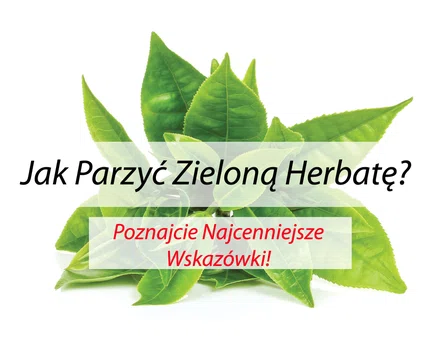Jak Parzyć Zieloną Herbatę? – Poznajcie Najcenniejsze Wskazówki!