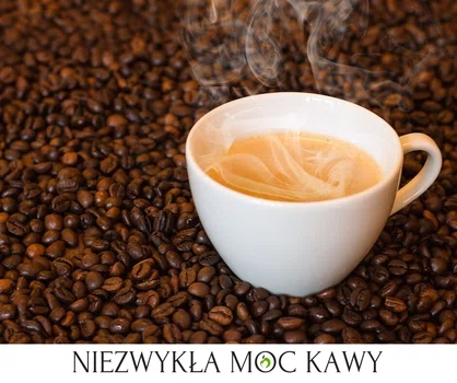 Kawa nie wypłukuje magnezu! - czyli o właściwościach kawy słów kilka