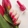 GOLDEN ROSE COLOR EXPERT NR 20