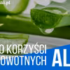 10 najlepszych korzyści z aloesu