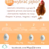Jak wybrać jajko