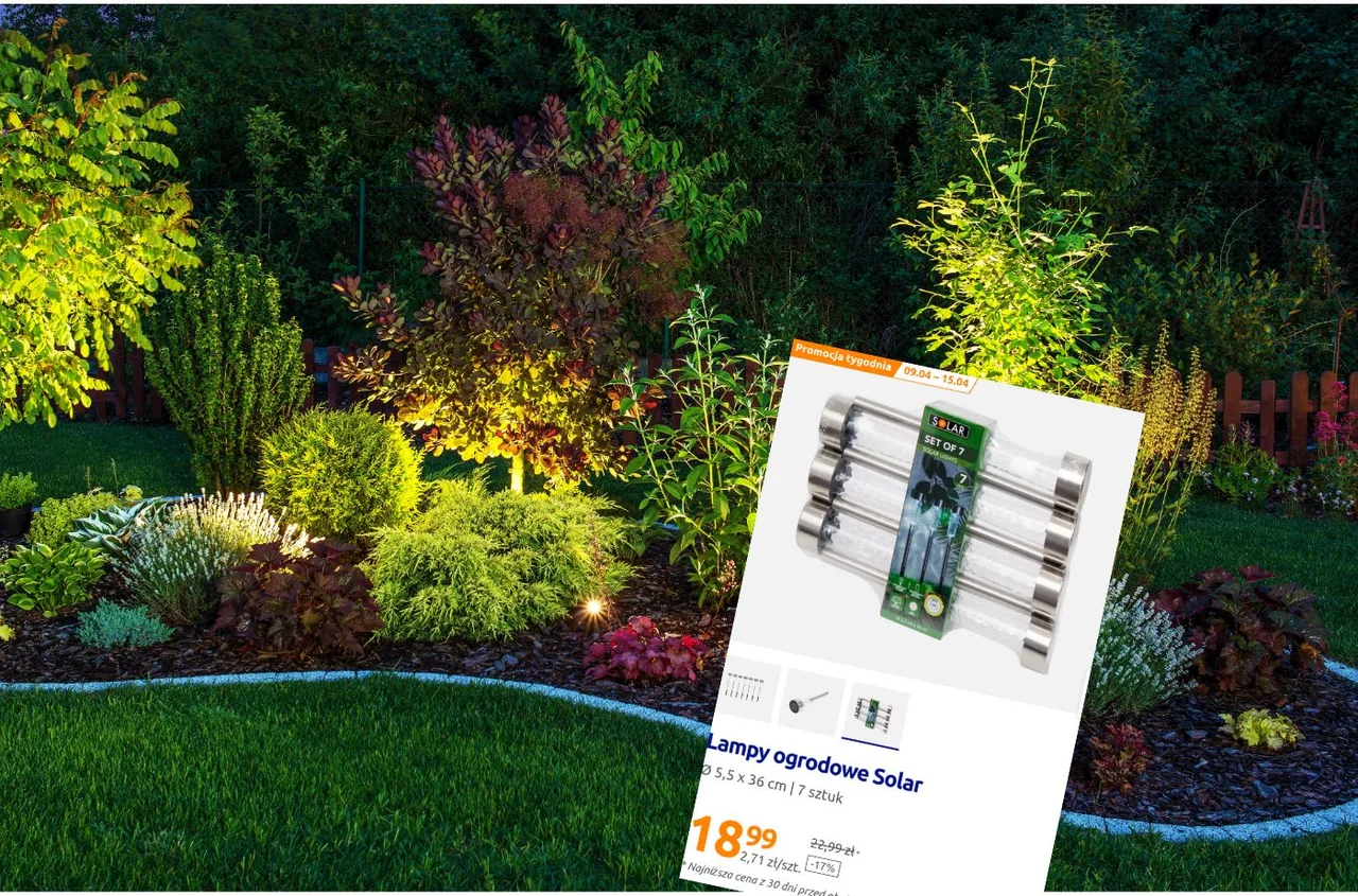 Przekształć swój ogród w bajkową przestrzeń za jedyne 18,99 zł! Zobacz, jak lampki solarne z Action zmieniają klimat!