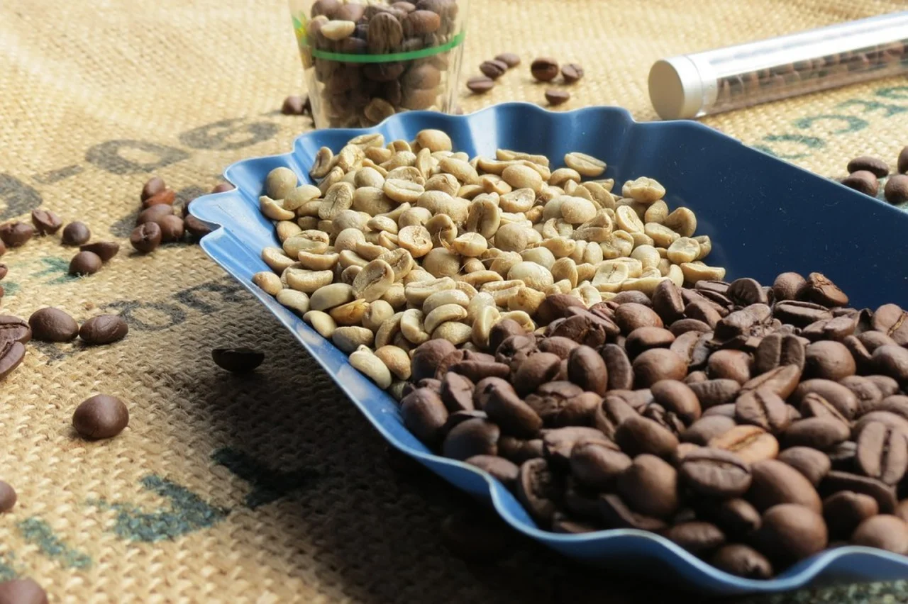 Zielona kawa – dla aktywnych i dbających o linię