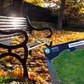 W tym tygodniu pogoda zaskoczy wszystkich! W tych regionach termometry pokażą nawet 22 stopnie C!