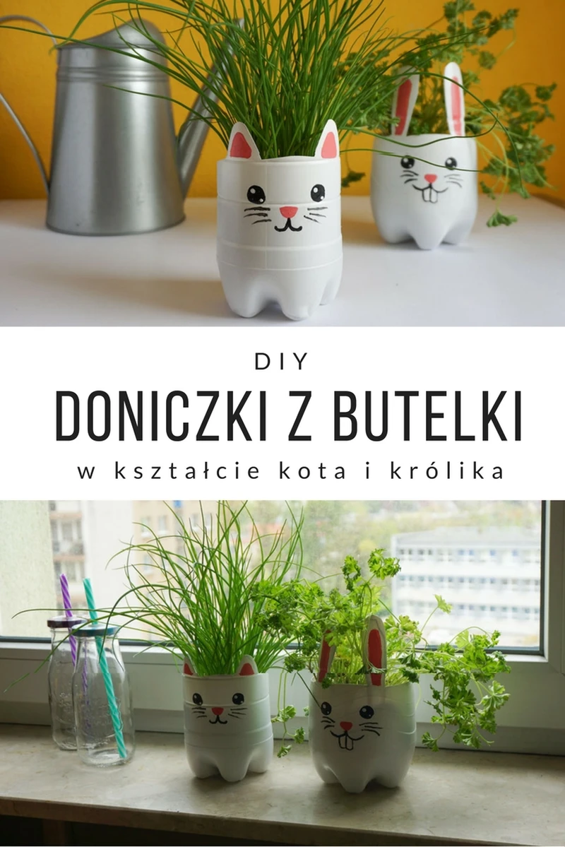 DIY Doniczka z plastikowej butelki