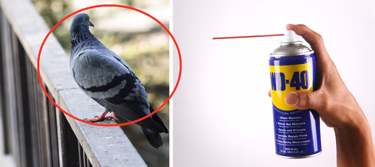 WD-40 – poznaj ciekawe zastosowania tego produktu