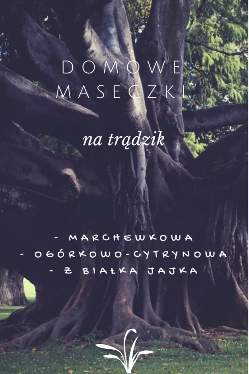 Domowe maseczki na trądzik - przepisy