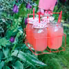 Lemoniada rabarbarowa z grapefruitem i rozmarynem