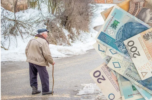 Seniorzy szturmują ZUS po to świadczenie! Pojawił się apel urzędników!