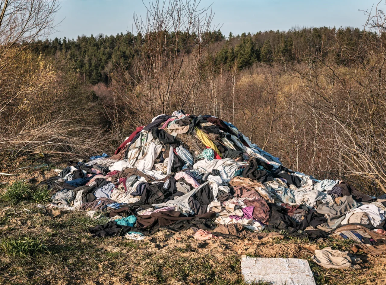 To już plaga! Polacy zasypują lasy starymi ubraniami, bo legalne rozwiązania są mało dostępne?