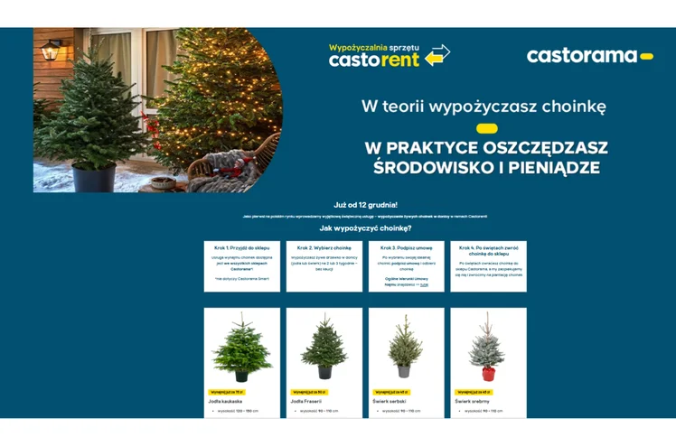 Zdjęcie Wypożyczalnia żywych choinek! Nietypowa oferta popularnej sieci totalnie zaskoczyła klientów #1