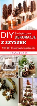 Świąteczne Dekoracje z Szyszek – TOP 20+ Ciekawych Inspiracji