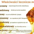 WŁAŚCIWOŚCI LECZNICZE MIODU