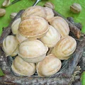 Orzeszki
