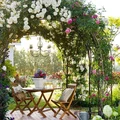 Pergola dodaje uroku