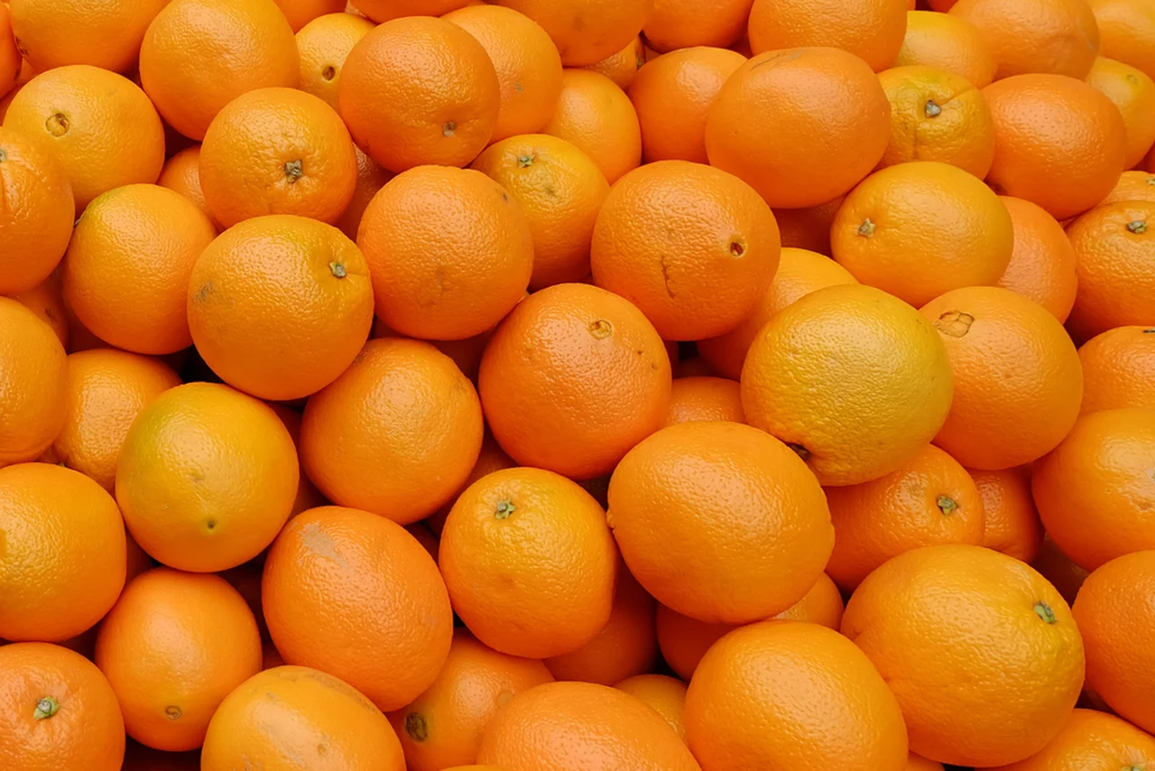 Jak rozpoznać pomarańcze bez pestek?