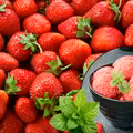 Zblenduj truskawki z tym ziołem! Zdrowy sorbet jak z lodziarni w 3 minuty!