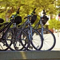 Światowy Dzień Roweru: Promocja Zdrowia i Zrównoważonego Transportu