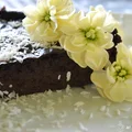 czekoladowe jaglane brownie - fit