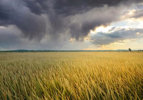 Pilne ostrzeżenie RCB. Te województwa muszą przygotować się na gwałtowne burze!