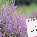 Kartka z kalendarza: 14 września - imieniny, gwiazdy, nietypowe święta! Odkryj sekrety tego dnia!
