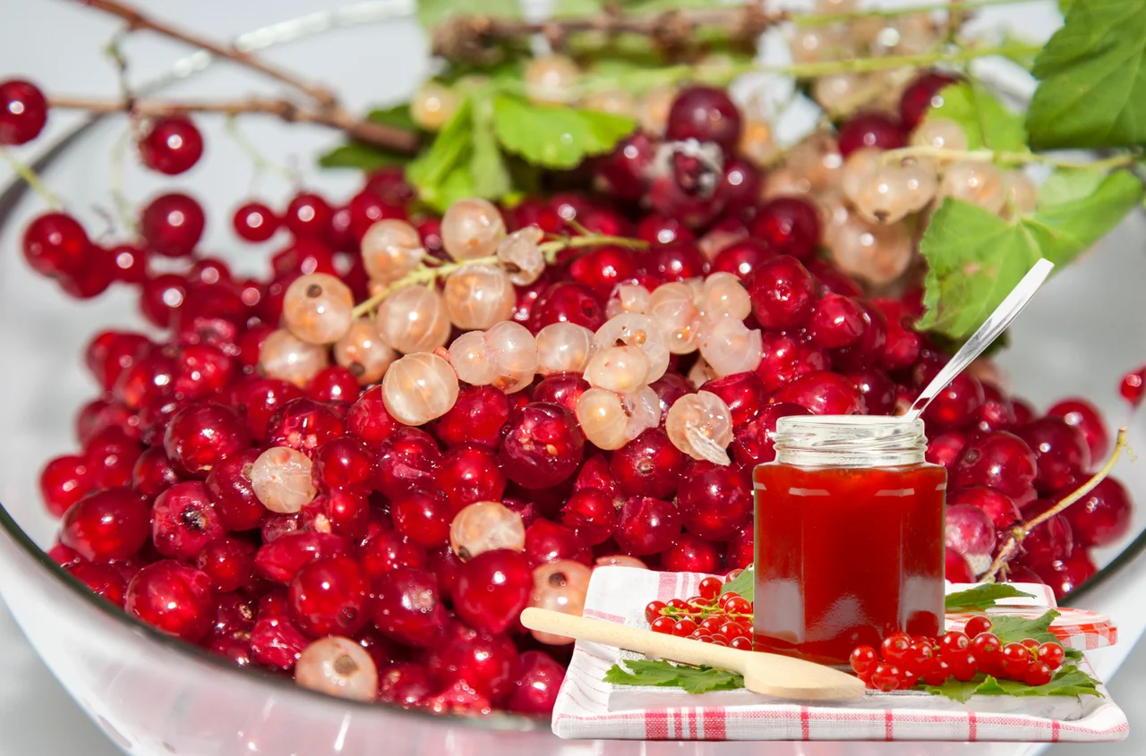 Porzeczki w słoiku – 5 genialnych przepisów na domowe przetwory!
